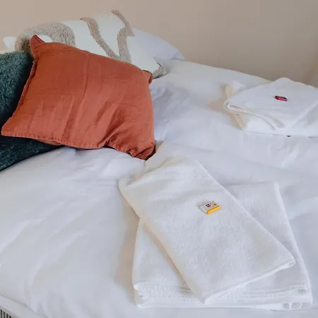 Apartment Zentrale Altstadtwohnung In Rapperswil Am Zuerichsee