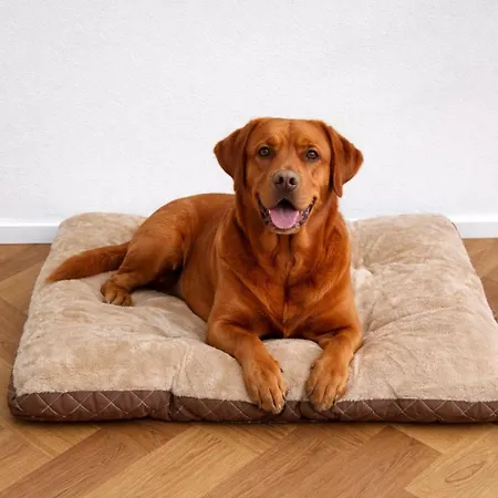 Zentrale Altstadtwohnung In Rapperswil Am Zuerichsee Apartment *