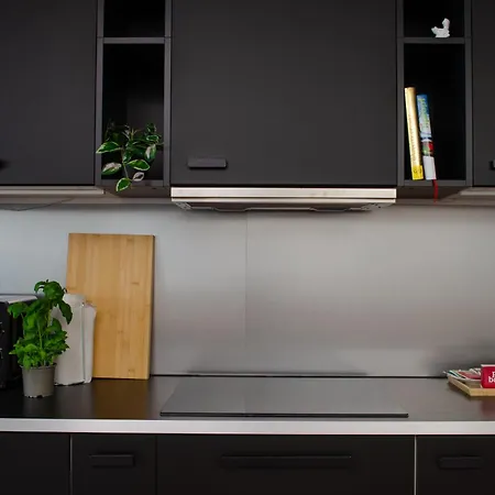 Zentrale Altstadtwohnung In Rapperswil Am Zuerichsee Apartment Rapperswil (St. Gallen)