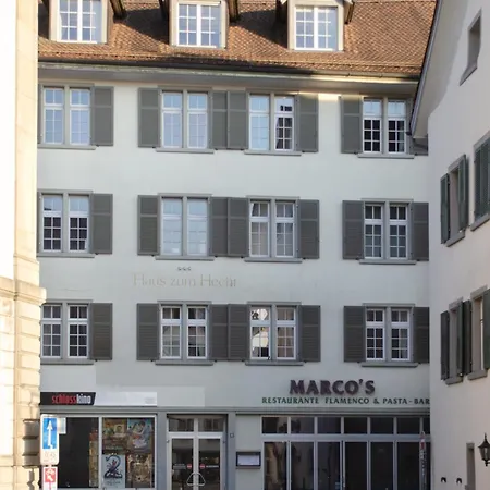 Zentrale Altstadtwohnung In Rapperswil Am Zuerichsee Apartment