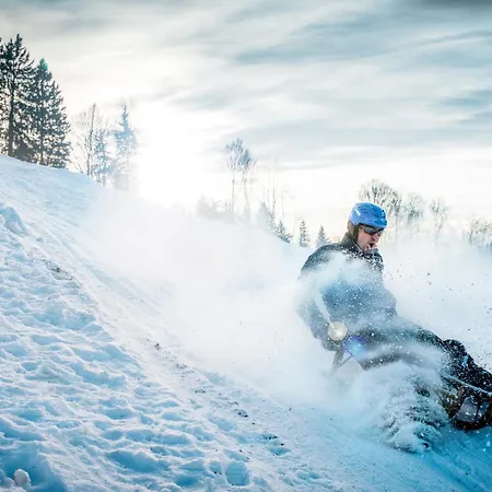 Apartment Zentrale Altstadtwohnung In Rapperswil Am Zuerichsee *