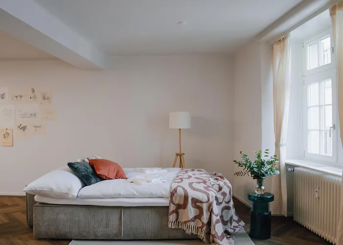 Apartment Zentrale Altstadtwohnung In Am Zuerichsee Rapperswil (St. Gallen)