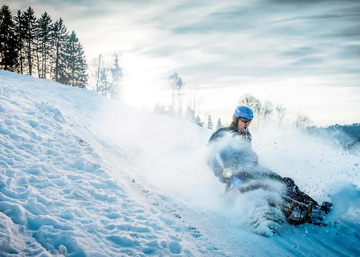 Apartment Zentrale Altstadtwohnung In Am Zuerichsee *