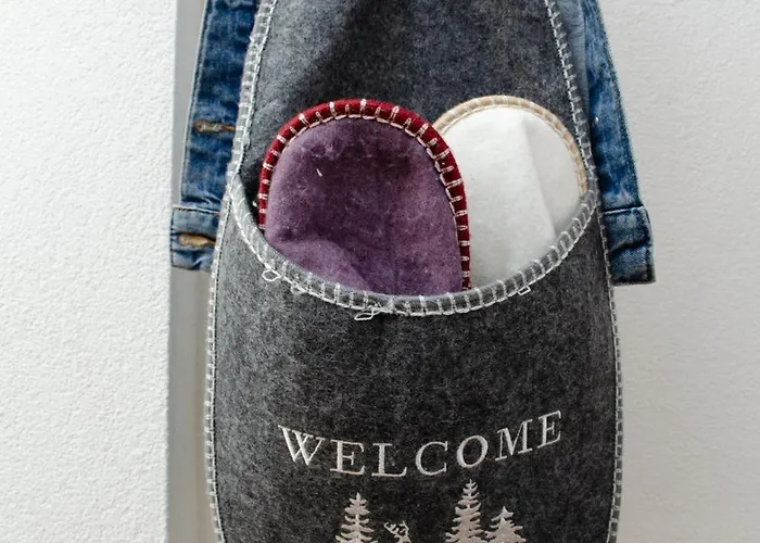 Apartment Zentrale Altstadtwohnung In Am Zuerichsee *