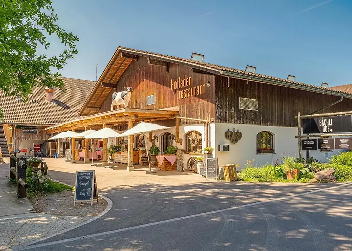 Zentrale Altstadtwohnung In Rapperswil Am Zuerichsee *