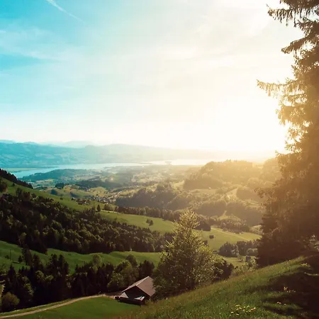 Zentrale Altstadtwohnung In Am Zuerichsee شقة Rapperswil-Jona